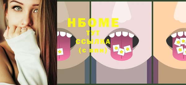 молекула духа Богданович