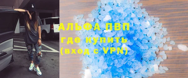 молекула духа Богданович