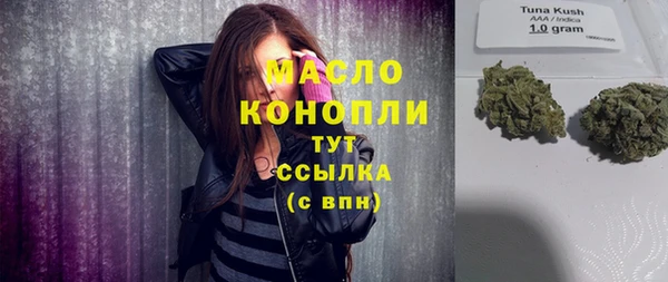 молекула духа Богданович