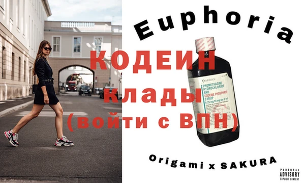 молекула духа Богданович