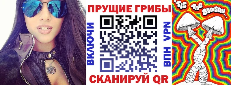 Купить  Наволоки  Галлюциногенные грибы Psilocybine cubensis 